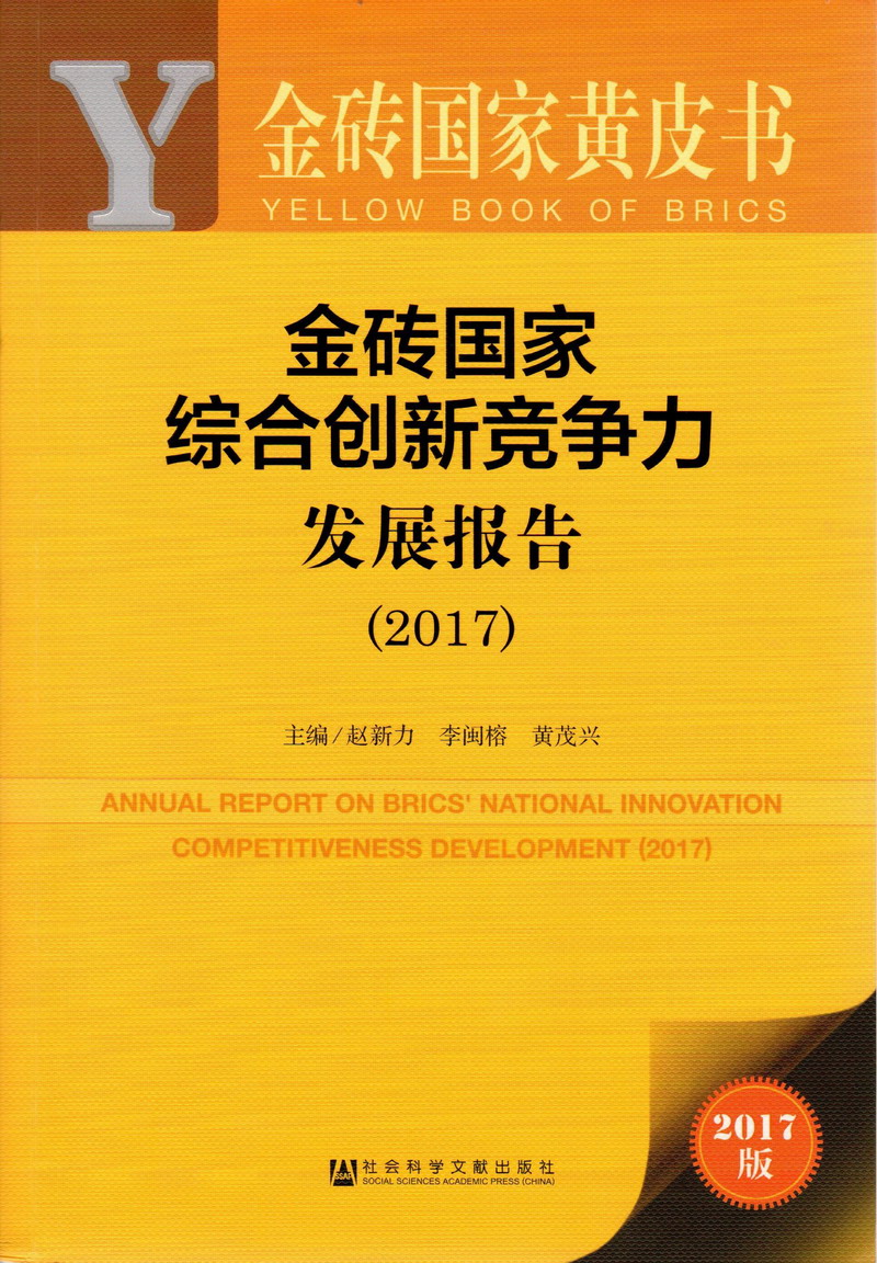 大鸡巴日B金砖国家综合创新竞争力发展报告（2017）